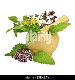 Rametti di menta, balsamo di limone, origano, tutsan, foglie di salvia in un mortaio di legno e sul tavolo su sfondo bianco Foto Stock