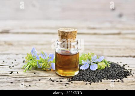 Olio Nigella sativa in bottiglia, semi e ramoscelli di semi di cumino nero con fiori blu e foglie verdi di kalingi su un fondo in legno Foto Stock