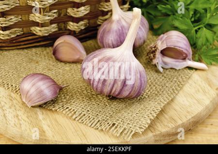 Due teste intere e tre spicchi d'aglio, un cestino di vimini, un mazzo di prezzemolo verde su un asse di legno e un tovagliolo burlap Foto Stock