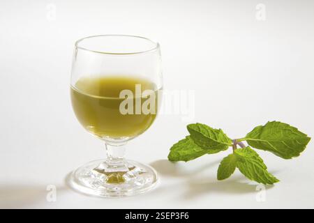 Spezie verdi succo di menta su sfondo bianco, pudina ka rus, India, Asia Foto Stock