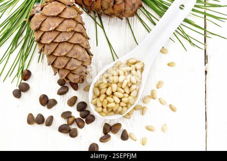 Nocciole pelate di cedro in un cucchiaio, due pineconi e noci nel guscio contro una tavola di legno leggero sulla parte superiore Foto Stock