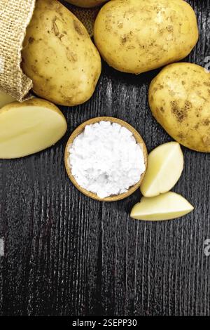 Fecola di patate in ciotola, tuberi vegetali in un sacchetto e su un tavolo su sfondo di legno scuro da sopra Foto Stock