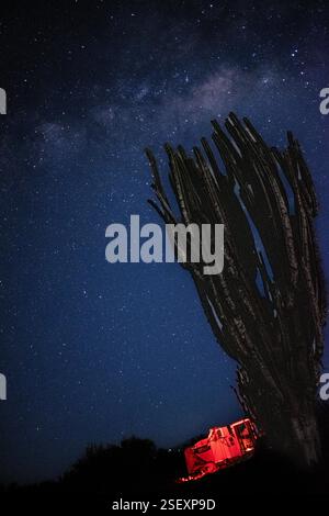 Una splendida vista notturna di un osservatorio nel deserto sotto un cielo stellato e limpido, incorniciato da un alto cactus in primo piano. Catturata nel deserto di Tatacoa, Colombia, questa fotografia mette in evidenza la bellezza di una delle migliori destinazioni per l'osservazione delle stelle al mondo. Ideale per progetti legati all'astronomia, ai paesaggi desertici, ai viaggi e alla natura. Perfetto per l'uso in contenuti educativi, poster e promozioni turistiche Foto Stock