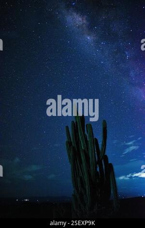 Una splendida vista notturna di un osservatorio nel deserto sotto un cielo stellato e limpido, incorniciato da un alto cactus in primo piano. Catturata nel deserto di Tatacoa, Colombia, questa fotografia mette in evidenza la bellezza di una delle migliori destinazioni per l'osservazione delle stelle al mondo. Ideale per progetti legati all'astronomia, ai paesaggi desertici, ai viaggi e alla natura. Perfetto per l'uso in contenuti educativi, poster e promozioni turistiche Foto Stock