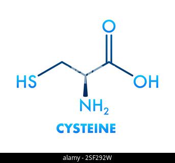 Struttura molecolare della cisteina che rappresenta il blocco costitutivo di aminoacidi e proteine Illustrazione Vettoriale