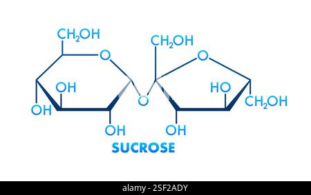 Formula scheletrica di saccarosio che mostra glucosio e fruttosio che formano un legame glicosidico Illustrazione Vettoriale