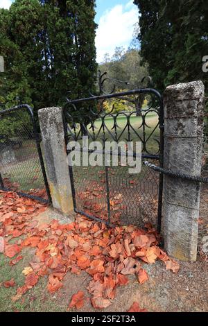 Cancello metallico con foglie autunnali/autunnali a terra Foto Stock