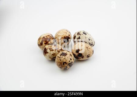Le uova di quaglia comune (Coturnix coturnix) su sfondo bianco. Foto Stock