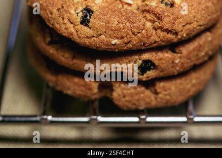 Biscotti con scaglie di cioccolato su grata di metallo Foto Stock