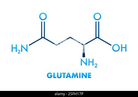 Formula scheletrica di glutammina, struttura chimica che rappresenta un amminoacido Illustrazione Vettoriale