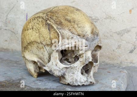 Un cranio umano poggia su una superficie di pietra, mostrando dettagli e texture intricati. I colori naturali suggeriscono la sua età, mentre l'ambientazione riflette hist Foto Stock