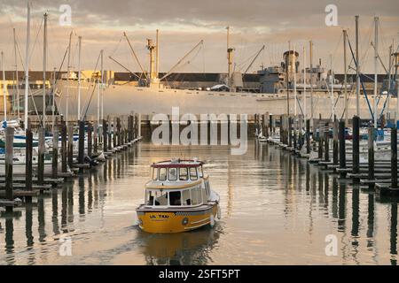 Traghetto giallo 'lil' taxi' nella Baia di San Francisco, vicino alla USS Jeremiah o'Brien. Luce dell'ora d'oro. Foto Stock