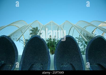 Gli edifici della città delle Arti e delle Scienze sono visibili a Valencia, Spagna, il 6 febbraio 2025. Foto Stock