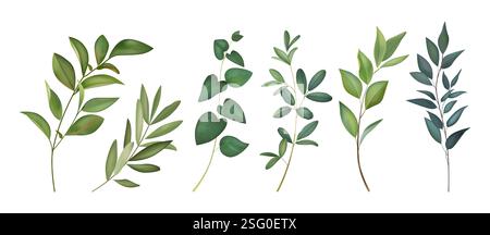 Foglia acquerello. Foglie di fiori verdi, ramo di piante acquerello, elementi di alberi da sposa per la progettazione di inviti. Pittura di vegetazione. Eucalipto naturale, ramoscello primaverile naturale. Set isolato vettoriale Illustrazione Vettoriale