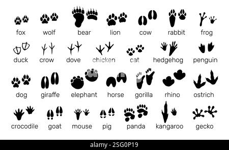 Impronte di animali. Icone di silhouette nere. Paw stampa. Scalini di uccelli. Predatori ed erbivori. Tracce di mammiferi forestali con iscrizioni di testo. Diverso Illustrazione Vettoriale