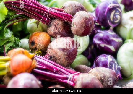 Un variopinto assortimento di barbabietole appena raccolte e kohlrabi al mercato agricolo di Durham, che mostra colori vivaci e texture organiche. Foto Stock