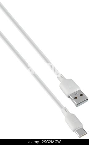 Multifunzione, cavo con connettori di tipo C e USB, compatibile con smartphone, tablet e altri dispositivi. Foto Stock