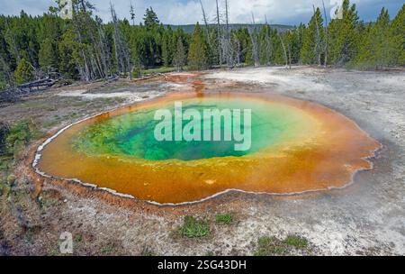 Piscina colorata Morning Glory nell'Upper Geyser Basin nel parco nazionale di Yellowstone nel Wyoming Foto Stock