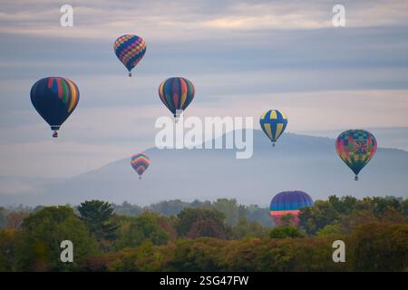 Le colorate mongolfiere fluttuano sopra un paesaggio verdeggiante con uno sfondo montuoso. Le bollature visualizzano varie ripetizioni e sfumature. Foto Stock