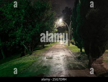 Un sentiero sterrato nel parco in una notte di pioggia. Foto Stock