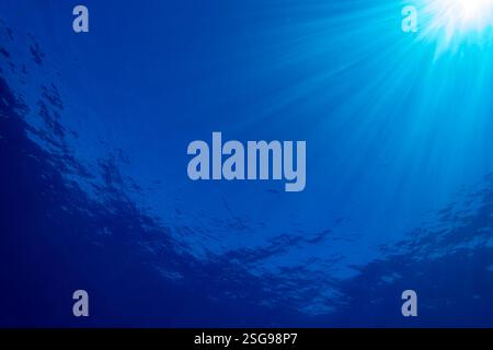 Una giornata tranquilla da sott'acqua che guarda in superficie con la luce del sole che scorre dall'alto, Hawaii, Oceano Pacifico. Foto Stock