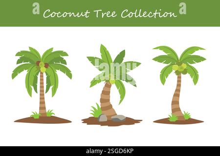 raccolta di alberi di cocco in pose diverse. Illustrazione vettoriale. Illustrazione Vettoriale