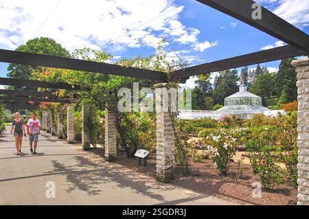Giardino invernale di Serra da giardini di rose, Dunedin Botanical Gardens, Dunedin, Otago, Isola del Sud, Nuova Zelanda Foto Stock