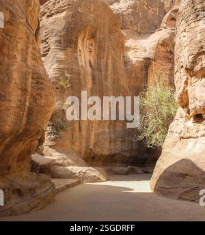paesaggi e formazioni rocciose in giordania Foto Stock