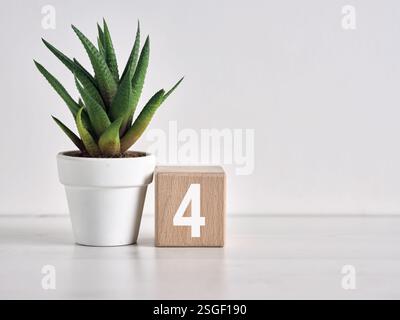 Blocco di legno con il numero quattro accanto a una pianta succulenta che celebra il quarto anniversario o il compleanno Foto Stock