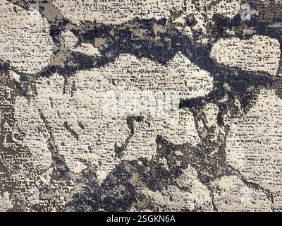 Tappeto personalizzato a caso con motivo a rami d'albero con venature scure. Venature di ramo scuro di colore nero, grigio e bianco. Tappeto o pavimento in moquette abstrac Foto Stock