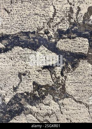 Tappeto personalizzato a caso con motivo a rami d'albero con venature scure. Venature di ramo scuro di colore nero, grigio e bianco. Tappeto o pavimento in moquette abstrac Foto Stock