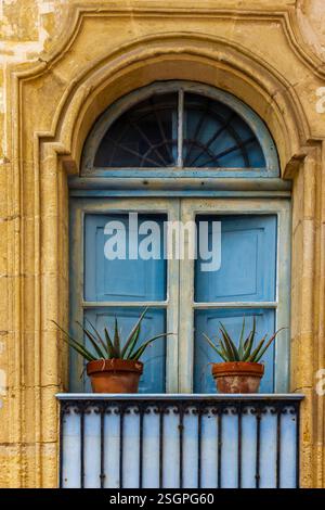 Facciata rustica dell'edificio in pietra con finestre e piante con persiane in legno Foto Stock