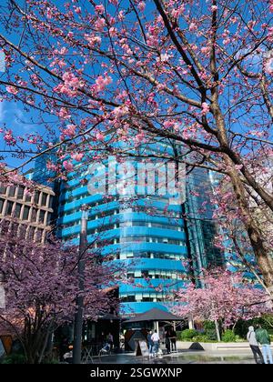 Edificio scintillante con fiori primaverili Foto Stock