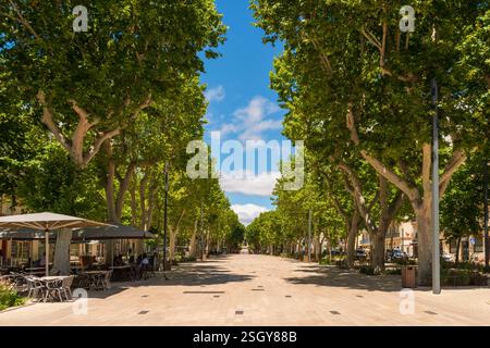 Allees (Road) Paul Riquet, Beziers, Herault, Occitanie, Francia, Europa Foto Stock