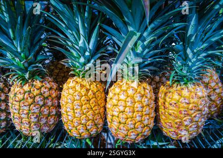 Un mucchio di ananas maturi venduti al banco frutta di Honolulu, Hawaii. Foto Stock