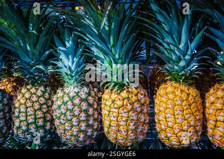 Un mucchio di ananas maturi venduti al banco frutta di Honolulu, Hawaii. Foto Stock