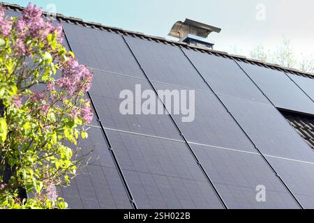 29.04.2024, Kleinvollstedt, Schleswig-Holstein, GER - Solaranlage auf einem Hausdach. Alternativ, alternative energie, aussen, Aussenaufnahme, Dach, deutsch, Deutschland, energie, erneuerbar, erneuerbare energie, Erzeugung, Europa, europaeisch, Fruehjahr, Fruehling, Hausdach, Jahreszeit, Kleinvollstedt, niemand, Photovoltaik, Photovoltaikanlage, QF, Querformat, rigenerativ, Schleswig-Holstein, Solar, Solaranlage, solarbetrieben, Solarenergie, Solarkraftwerke, Solarmodule, Solarpanels, Solarstrom, Solartechnik, Solarzellen, Sonnenenergie, Sonnenkollektoren, Sonnensegel, Strom, Stromerzeugung, T Foto Stock