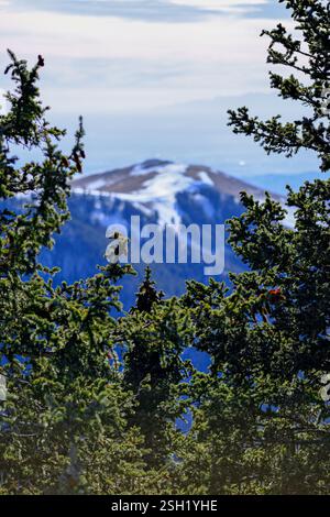 Snowy Mountain Peak attraverso Evergreen Frame Foto Stock