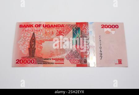 Banconota da 000 scellini, scellino ugandese, UGX, Uganda, Africa orientale Foto Stock