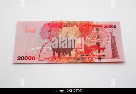 Banconota da 000 scellini, scellino ugandese, UGX, Uganda, Africa orientale Foto Stock