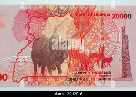 Banconota da 000 scellini, scellino ugandese, UGX, Uganda, Africa orientale Foto Stock
