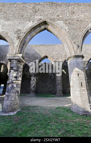 272 le rovine romanico-gotiche della chiesa abbaziale di Saint-Mathieu de fine-Terre, adiacente all'omonimo faro. Plougonvelin-Bretagna-Francia. Foto Stock