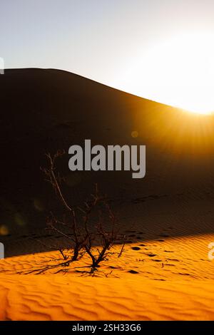 Paesaggio desertico del Sahara, incredibile esperienza in Marocco, natura selvaggia e all'aperto. Foto Stock