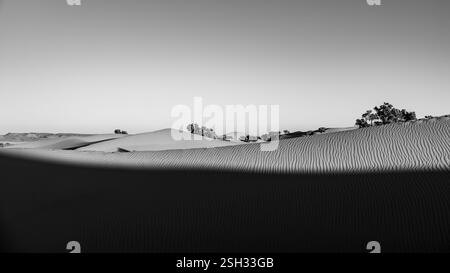 Paesaggio desertico del Sahara, incredibile esperienza in Marocco, natura selvaggia e all'aperto. Foto Stock