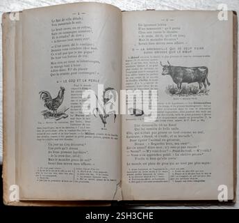 La Fontaine - Choix de Fables - 36a edizione - Armand Colin, Parigi, Francia, 1910 pp 4-5 - le coq et la perle Foto Stock
