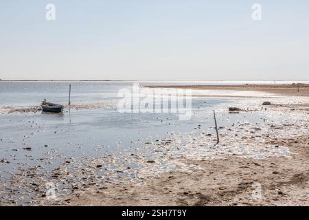 Camargue: Piccola barca da pesca ormeggiata su un palo su una spiaggia con la bassa marea. Foto Stock
