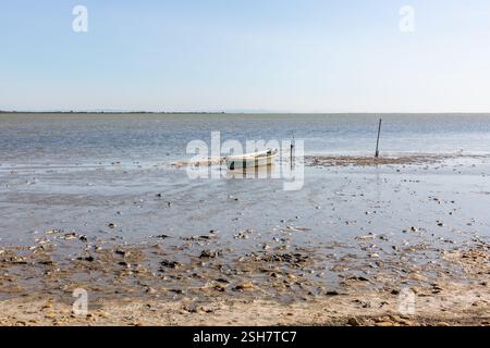 Camargue: Piccola barca da pesca ormeggiata su un palo su una spiaggia con la bassa marea. Foto Stock