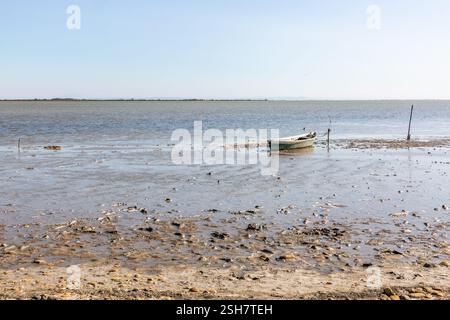 Camargue: Piccola barca da pesca ormeggiata su un palo su una spiaggia con la bassa marea. Foto Stock