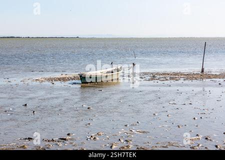Camargue: Piccola barca da pesca ormeggiata su un palo su una spiaggia con la bassa marea. Foto Stock