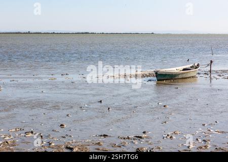 Camargue: Piccola barca da pesca ormeggiata su un palo su una spiaggia con la bassa marea. Foto Stock